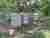 1778861915865 web